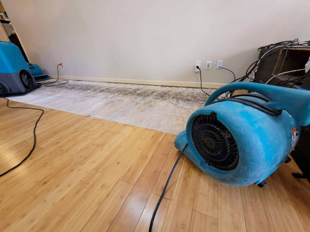 Professional Water Damage Repair technician working in Rye, NH
